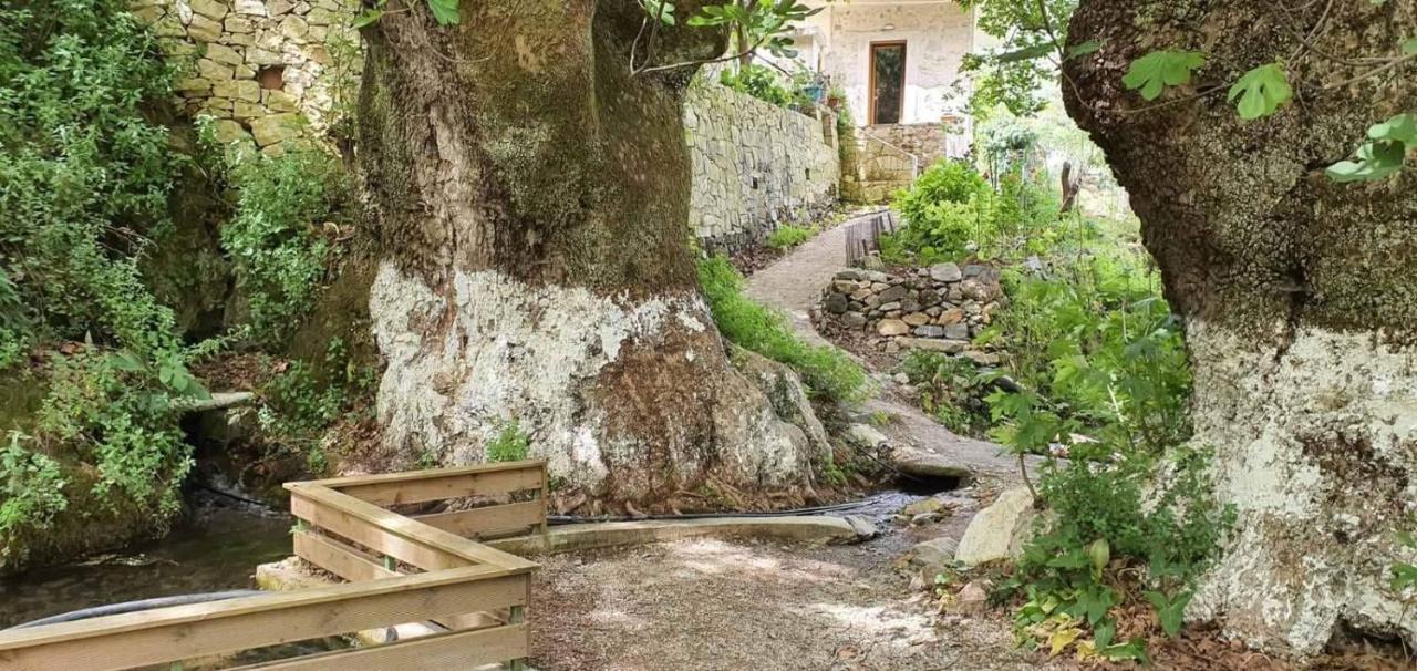 Willa Platanus House Meskla Zewnętrze zdjęcie